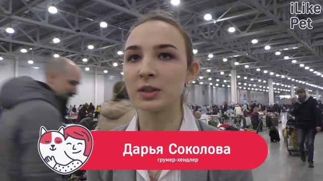 Уход за комондором смотреть онлайн