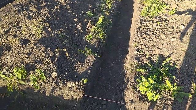 Копаю траншею вручную. Эволюция шалаша. смотреть онлайн