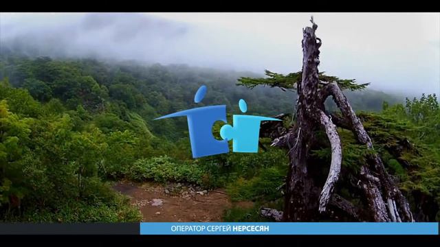 Заставка РА 