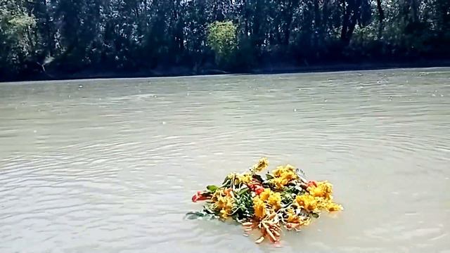 "Над Кубанью реченькой" Хорошее настроение (СДК Коржевский) смотреть онлайн