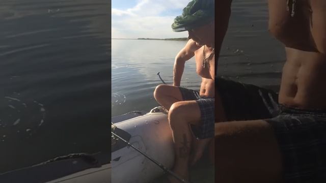 #волга#рыба#отдых#река#отпуск#россия#рыбалка#природа#астрахань#база#енотаевка# смотреть онлайн