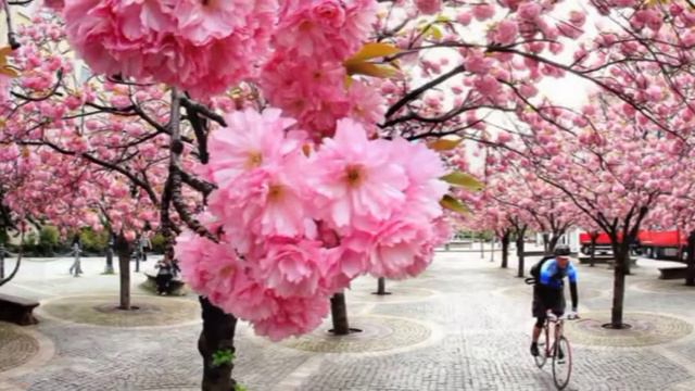 Счастье в жизни переменчиво смотреть онлайн