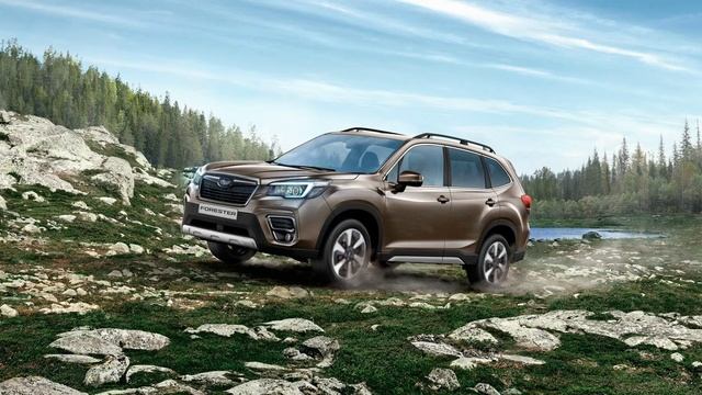 Новый Forester в уфимском лесу смотреть онлайн