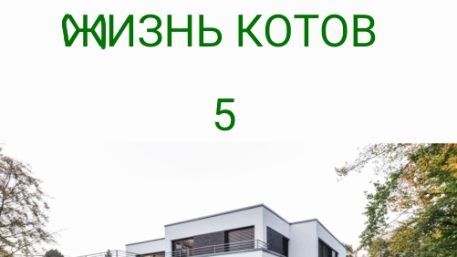 Жизнь котов 5 да 1 лайк вы набрали