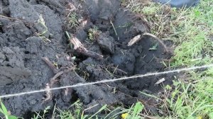 Природное земледелие - возрождение земли и изобильный урожай