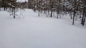 тофалар 500 лонг, толкач по глубокому снегу на Кольском полуострове