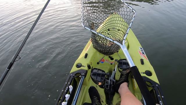 Okuma Ceymar HD Spin Reels - Test Drive