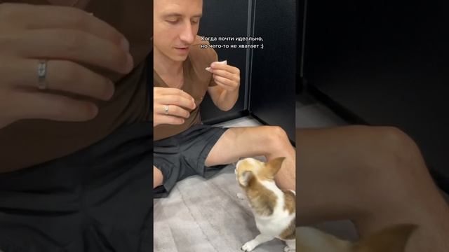 НЕМНОГО НЕ ПОЛУЧИЛОСЬ смотреть онлайн