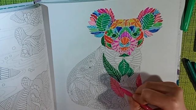 Раскраска антистресс // Животные // Коала смотреть онлайн