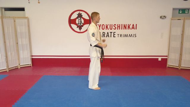 10.Kyu Kyokushinkai Ippon Kumite 1