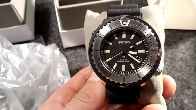 солнечный тунец