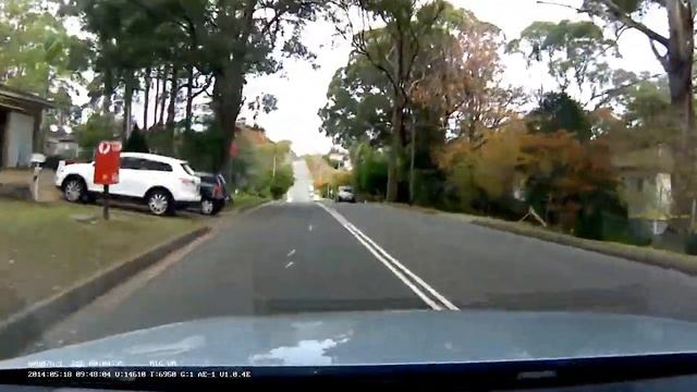Captured on Cowon AE1 - Dog Running onto Road смотреть онлайн