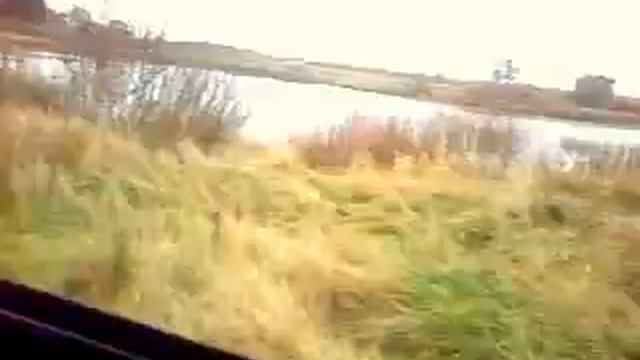 Вдоль леса, с.Озёрки, Шатковский р-н смотреть онлайн