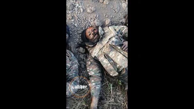 Карабах Qarabag Karabakh пашинян