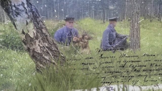 С ненавистью и ксенофобией нам не по пути. Кайманов Никита Фадеевич смотреть онлайн