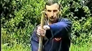 Будзинкан Нинпо Энергия Волны Валерий Момот ч 2