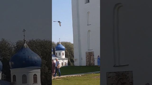 Великий Новгород. Свято-Юрьев монастырь смотреть онлайн