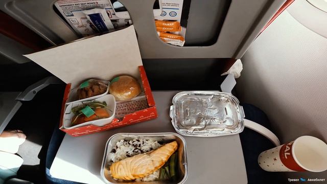 Красивый рейс Сочи - Екатеринбург Airbus A321 Ural Airlines