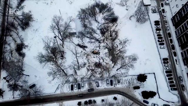 245 деревьев под вырубку: в Казани строят новый торговый центр смотреть онлайн