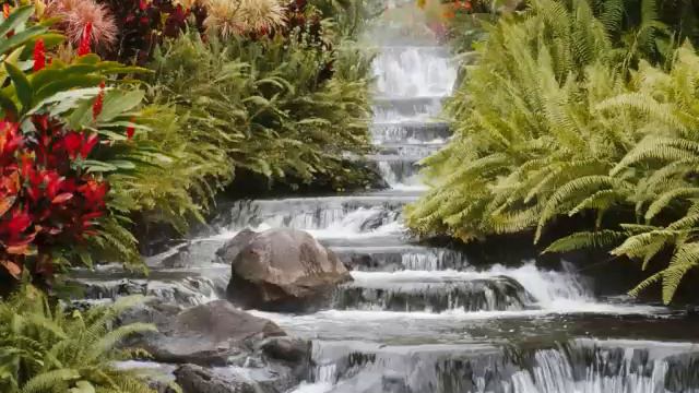 Josef Suk - Ballade in D Minor for Violin and Piano смотреть онлайн