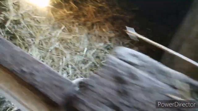 Устроили пожар смотреть онлайн