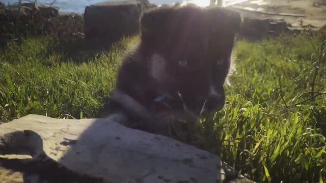 НОВЫЙ ГОД на МОРЕ смотреть онлайн