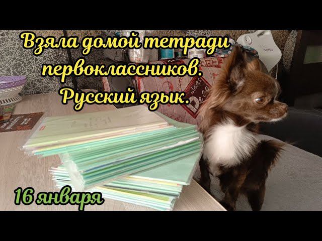 Взяла тетрадки первоклассников по русскому языку на проверку смотреть онлайн