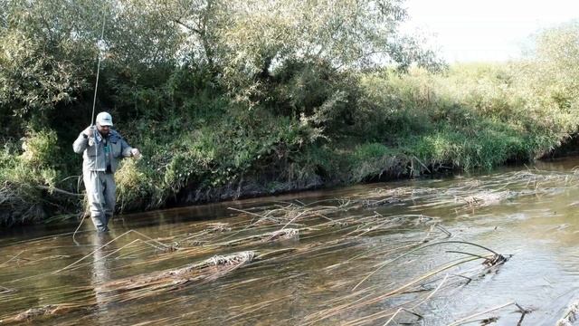 Тактика ловли. Upstream. Преимущества.