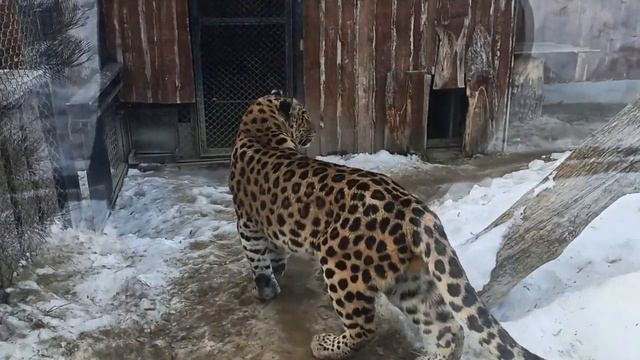 Красноярский зоопарк. Часть 1