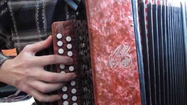 Черный ворон - на гармони под шум ветра смотреть онлайн