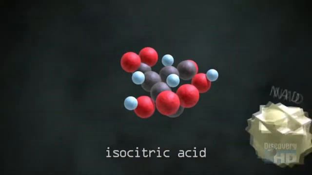 100 Khám Phá Vĩ đại Nhất - Phần 2