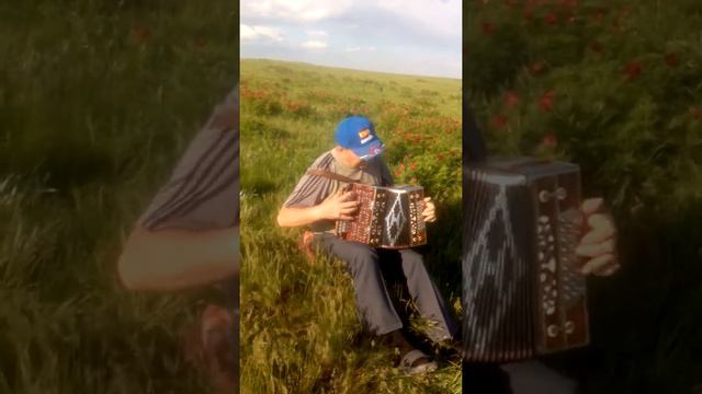 Сторожев Н.Н. - "Барыня" на Нижегородской гармони смотреть онлайн