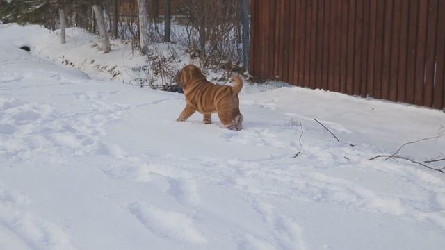 MVI 5656 смотреть онлайн