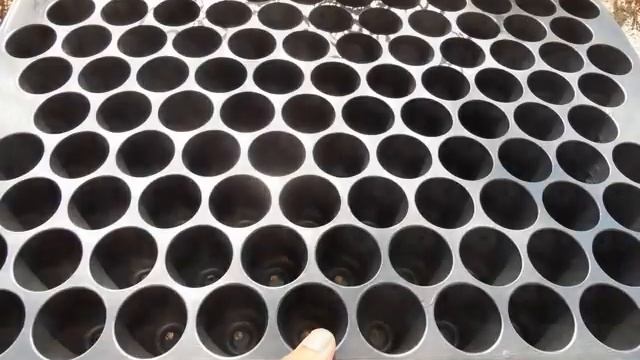 polystyrene seed trays | polystyrene seedling trays | plastic propagation trays смотреть онлайн