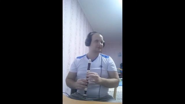 Kansas Carry - On My Wayward Son cover tin_whistle смотреть онлайн