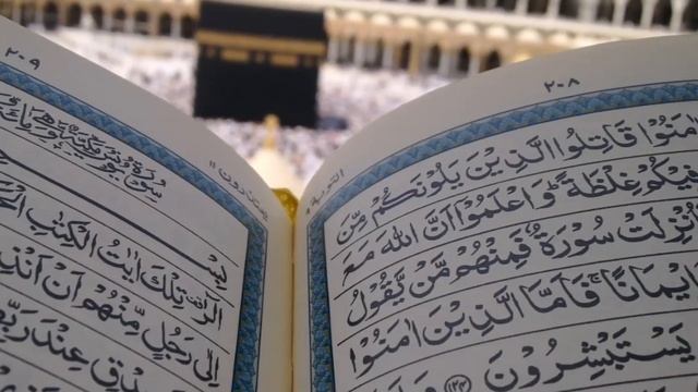 A HISTORIA DOS DEZ DIAS QUE NUNCA EXISTIRAM смотреть онлайн