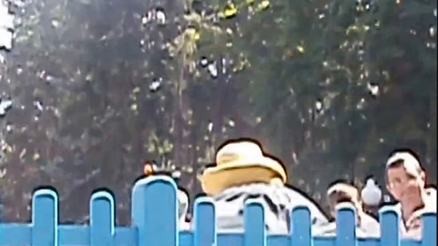 Клип Летающий слон к облакам нас унес Flying Elephant to the clouds blew us смотреть онлайн