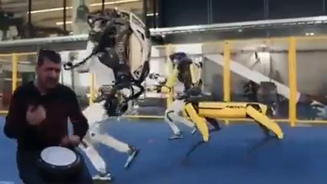 тыгыдым-тыгыдым смотреть онлайн