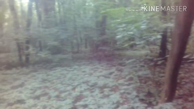 Удачный коп по царизму с фортуна м3 смотреть онлайн