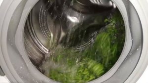 Experiment -  Peas -  in my Washing Machine - centrifuge