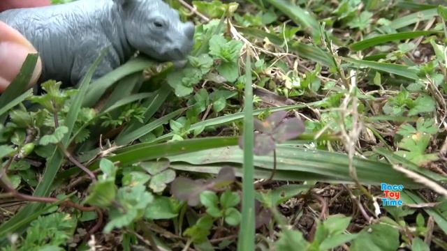 Toy Wildlife Animals in the Safari Sandbox - Learn Animal Names Video смотреть онлайн