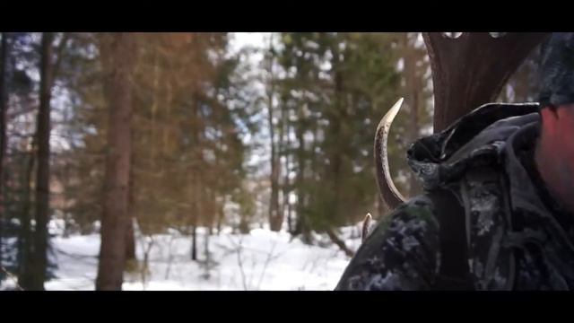 Sitka в россии