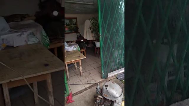 зид 4.5 смотреть онлайн