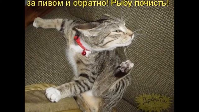 Что девушки пишут на сайтах знакомств? Часть1 смотреть онлайн