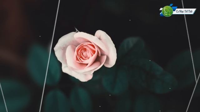 Liên Khúc Tình Yêu 1 2 3 4 | Ngọc Lan Trung Hành Kiều Nga - Liên Khúc Nhạc Hải Ngoại Sôi Động Nhất смотреть онлайн