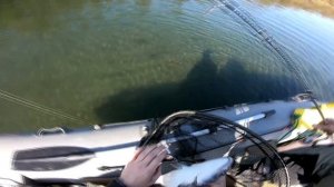 Рыбалка на Камчатке кижуч река Большая