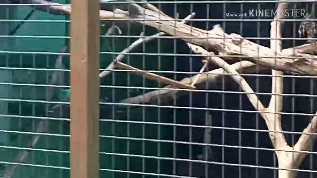 Второй день отдыха Весёлой Варюши смотреть онлайн