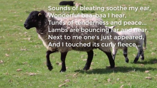 My Rhymes For Kids in English - Fleecy Lambs - Мои стихи на английском для детей смотреть онлайн