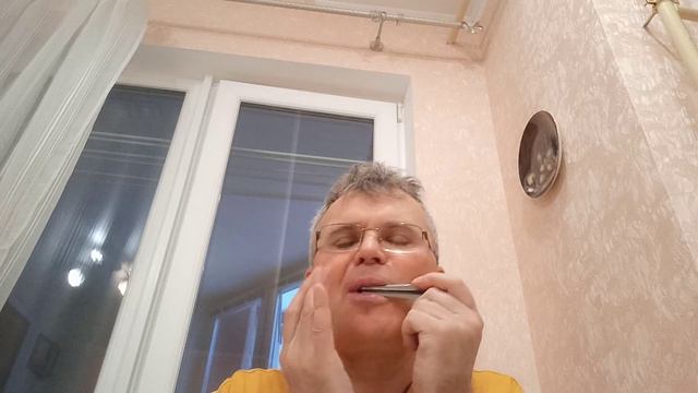 Наигрыши на басовом варгане мастера Рыбникова. смотреть онлайн