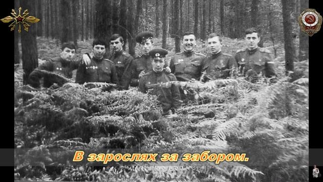 Пётр Грибковский ГСВГ Хоэнлайпиш Отдельный батальон связи п п 45487 1968 1970 гг смотреть онлайн